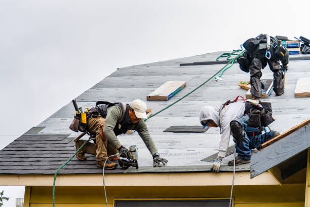 Professional Roofing technician working in Burlington, ND